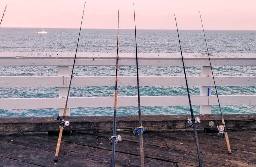 five fishing rods