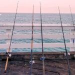 five fishing rods