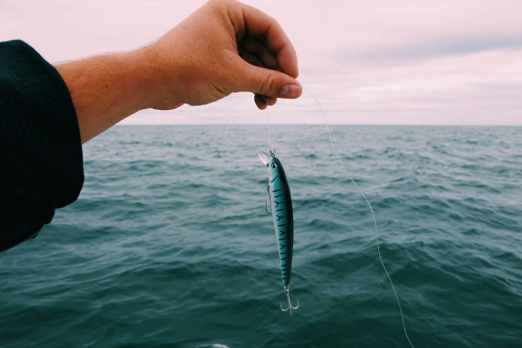 person hand holding fishing bait in the sea