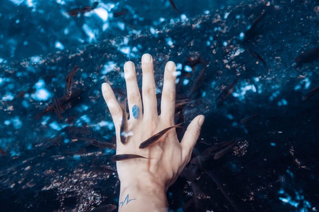 person hand underwater surrounded by small fishes