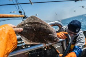 person holding flounder fish on boat